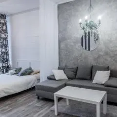 Studio type apartment in Ķegums