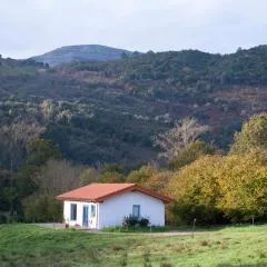 La madriguera azul
