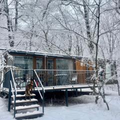 Nina's winery forest house in Kiketi