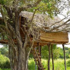 Habarana Tree House Area