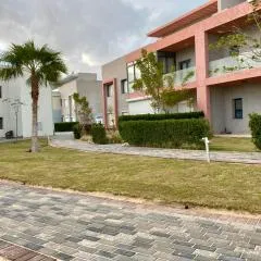 PLAGE Mountain View By Best of Bedz