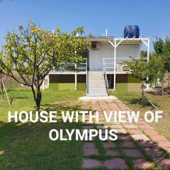 House With View of OLYMPUS