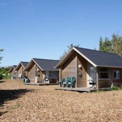Holiday home Pandrup XXXVIII