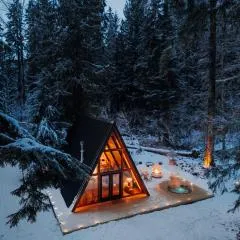 Lafa Cabin - Luxe A Frame Retreat with Hot Tub, Sauna, Firepit- 5 Min to Mt Rainier