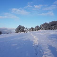 Cottage am Michelsberg