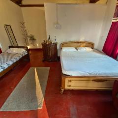 Coorg tribal land homestay