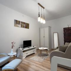 Cozy apartment Tribunei