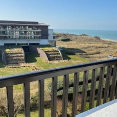 Appartement 2 pièces accès direct plage, animaux acceptés, Wifi - FR-1-487-378