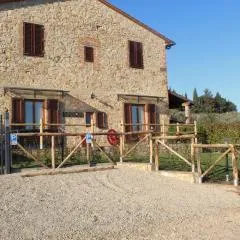 I Vigneti del Chianti