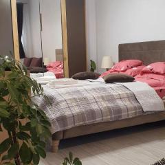 Apartament Ultra-Central Lux -,, AndreCasu ,,