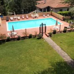 Olive Tree Apartment