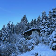 Chalet Dagmar