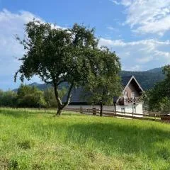 Przystanek 470