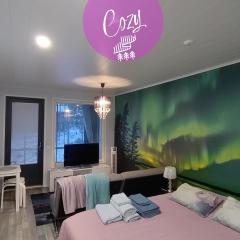 Northern Lights - Cozy apartment, sisältää liinavaatteet