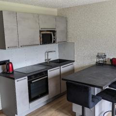 Studio confortable à Châtel avec WiFi et parking couvert - FR-1-676-215