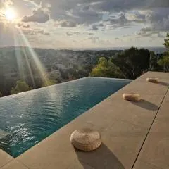 Noahs Paradise