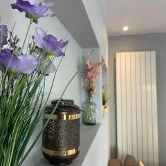 Gites Spa Strasbourg - Villa Cerf - SPA Privé, Sauna, Borne d'arcade, Babyfoot