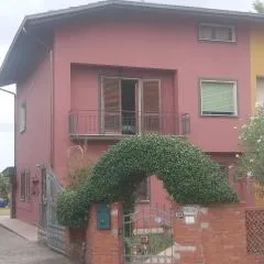La Rosa in Fiore