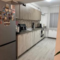 Apartament Andreea pe Dem Radulescu!