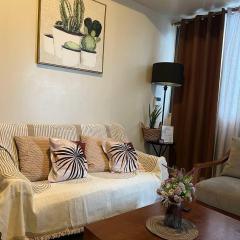 Two Bedroom Condo Cebu Mactan Newtown