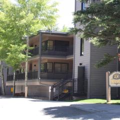 Gorgeous Aspen Condo By Lift Ski In out Parking