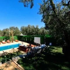 İZNİK Lake Olive villa