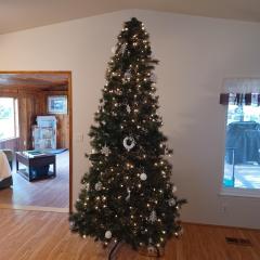 Raskie&Rootamus Backyard Retreat