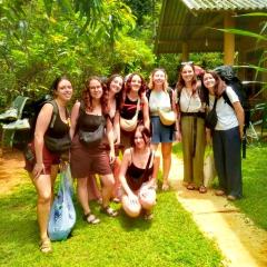 Monkey Jungle Cottage