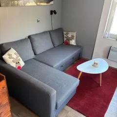 APARTMENT OWL