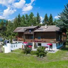 Waldelerhof- Appartements in Meransen