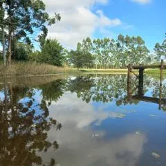 Propriedade inteira - duas suítes, pavilhão e espaço externo