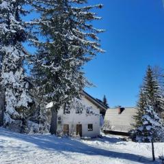 Apartmani Jahorinka