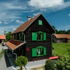 Šušnjari100