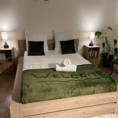 Triplex à La Roche de Glun