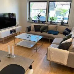 Cozy apartment near Copenhagen