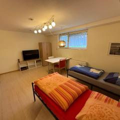 Nice and cosy studio apartment in a central location