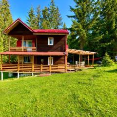 Cosy wooden house in the heart of Apuseni.