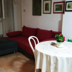 Welcoming 1 studio apartment with terrace