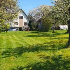 Apartmán Vysoké nad Jizerou