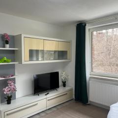 Gemütliche Stadtwohnung Kapfenberg - Gratis Parken