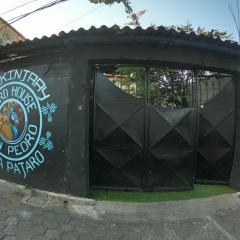 Bird House San Pedro