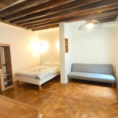 Immersion parisienne, Appartement au centre Paris