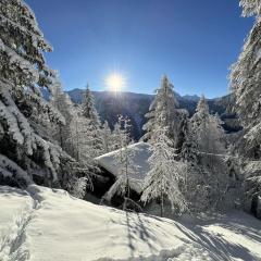 Chalet Chalet Soldanella - BEL205 by Interhome