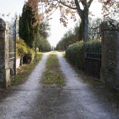 Le piagge della sala