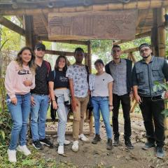 AYNI- Santuario de abejas