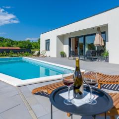 Villa The Pool House, a lush modern villa with a pool
