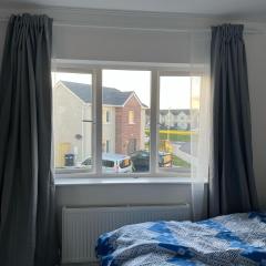 Tullow Road Carlow