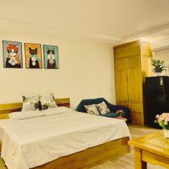 Hana Premier Apartment Da Nang