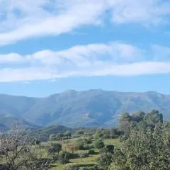 E casette