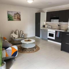 Appt familial avec terrasse et parking